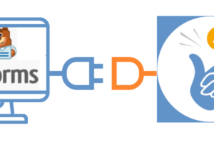 Coinsnap voor WPForms betalingsmodule